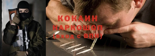 хмурый Алексин
