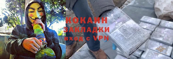хмурый Алексин