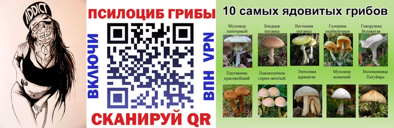 Галлюциногенные грибы ЛСД  Купить закладки  Валдай 
